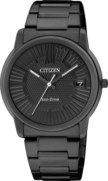 Citizen Uhr FE6015-56E Eco Drive Ringsolar, hochwertiges Edelstahl schwarz IP beschichtet für Damen